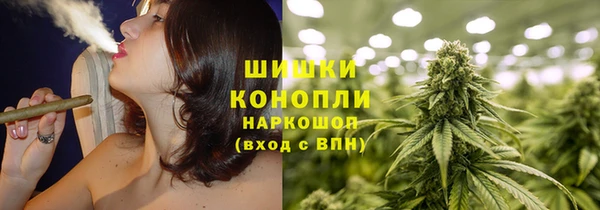 a pvp Магас