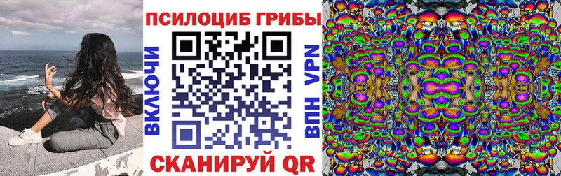 Купить  Медногорск  Псилоцибиновые грибы Psilocybe 
